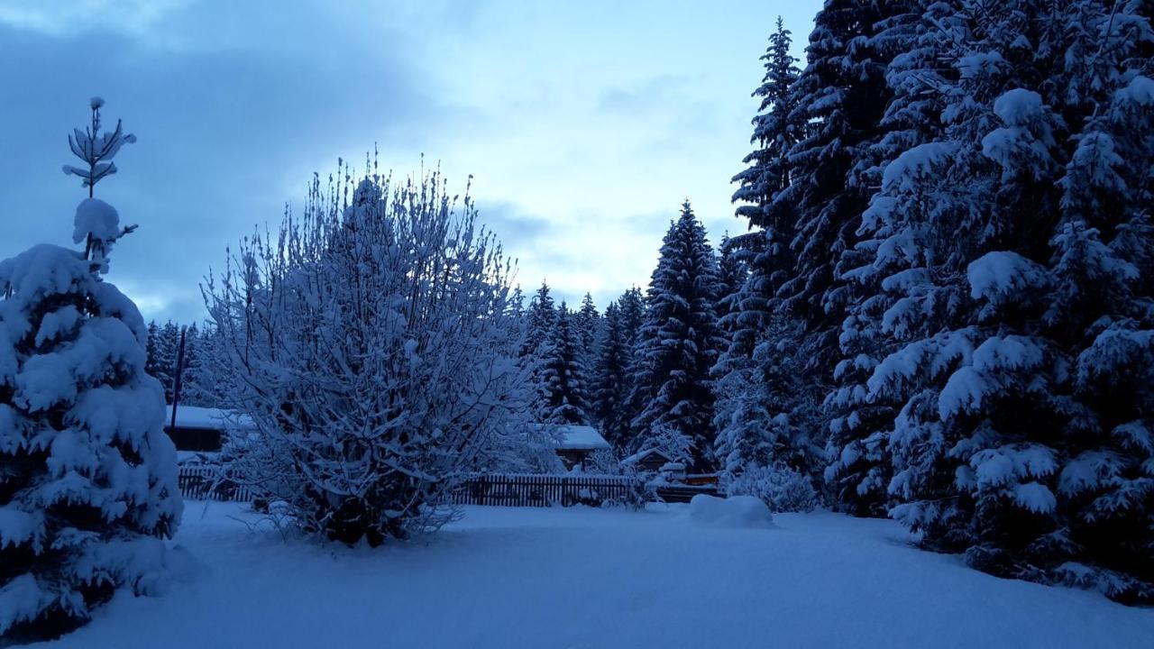 Gasthof Schatzkisterl 3*